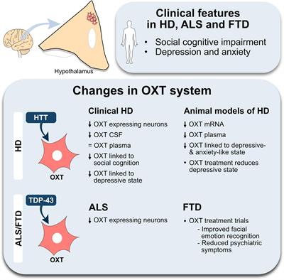 Oxytocin in Huntington’s disease and the spectrum of amyotrophic lateral sclerosis-frontotemporal dementia